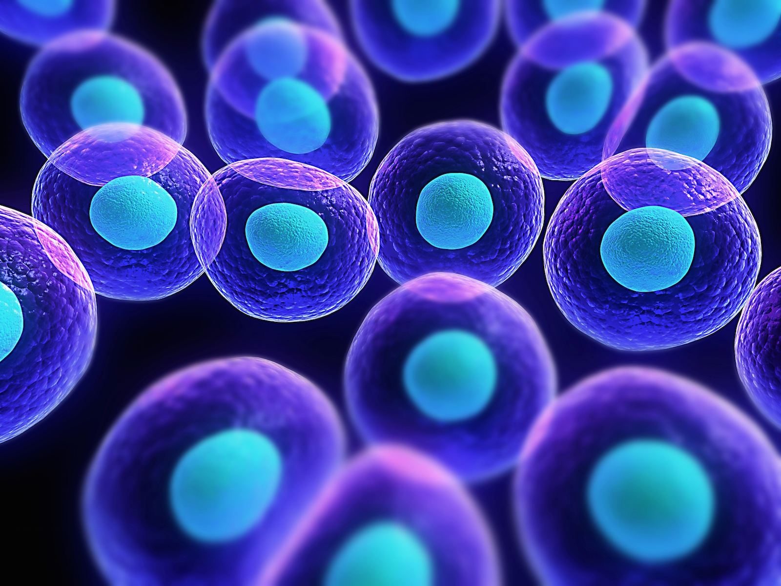 تشكل المعالجة بالخلايا الجذعية مستقبلاً واعداً للكثير من المرضى حول العالم