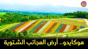 نبذة عن محافظة هوكايدو