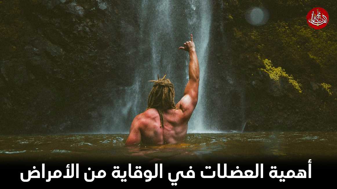  أهمية العضلات في الوقاية من الأمراض